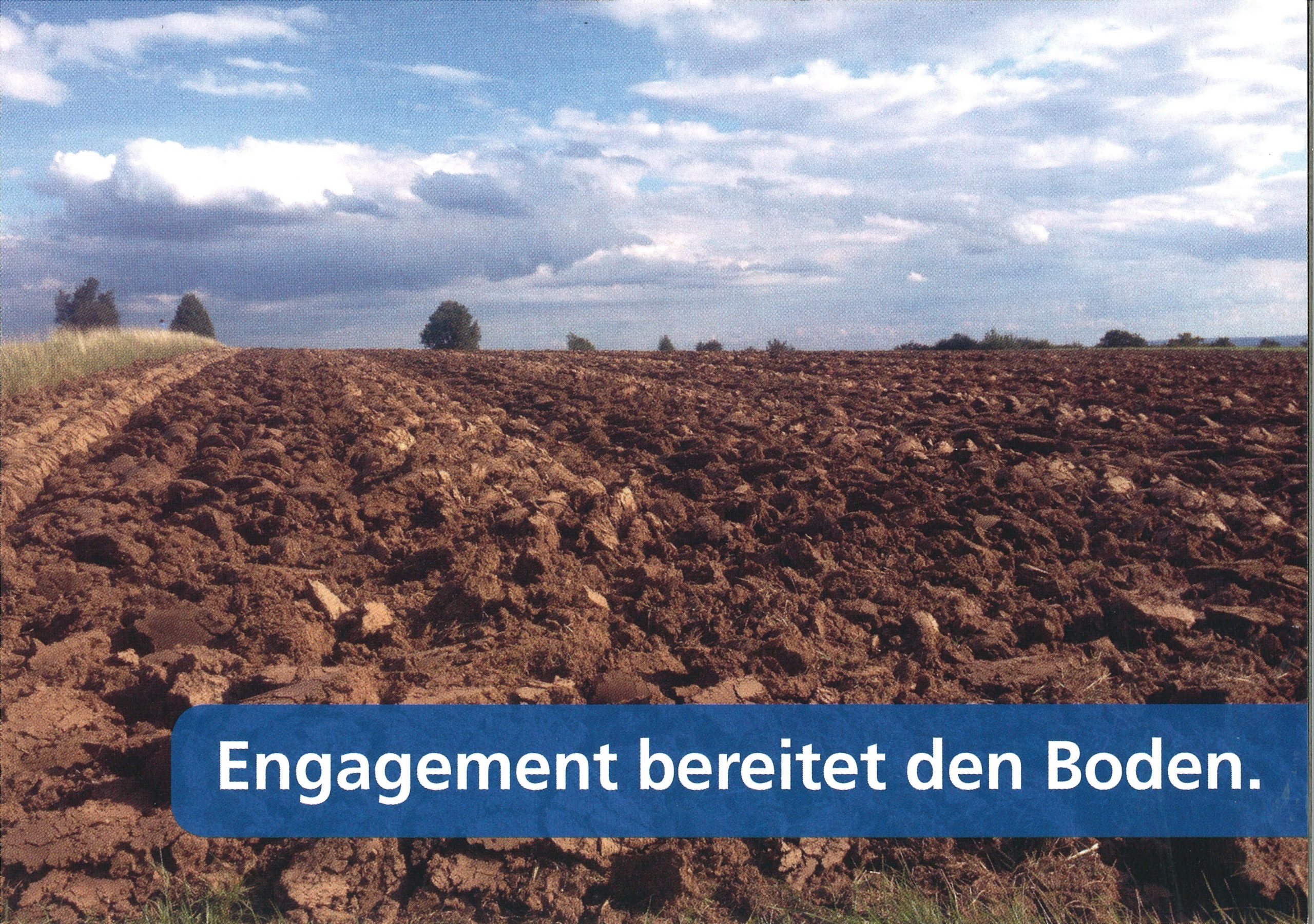 „Ehrenamt“ und „Hauptamt“ – wer braucht wen?